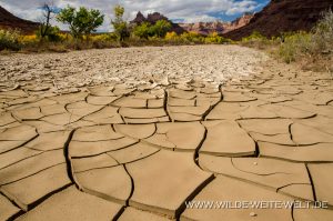 Clay-Patterns-and-Fall-Color-Mexican-Mountain-Airstrip-San-Rafael-Swell-Utah-16-300x199 Clay Patterns and Fall Color