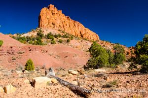 Egg-Canyon-Grand-Staircase-Escalante-National-Monument-Utah-5-300x199 Egg Canyon