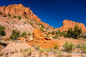 Face-Rock-Egg-Canyon-Grand-Staircase-Escalante-National-Monument-Utah-300x199 Face Rock