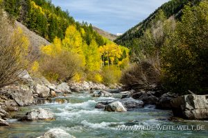 Fall-Color-at-Crystal-River-White-River-National-Forest-Marble-Colorado-4-300x199 Fall Color at Crystal River