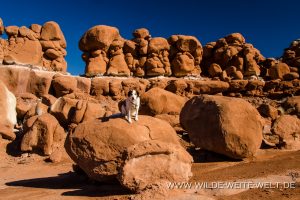 Ghoul-Gulch-Goblins-San-Raffael-Swell-Hambrick-Bottoms-Road-Castle-Dale-Utah-10-300x200 Ghoul Gulch Goblins