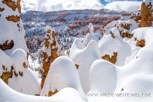 Hoodoos-at-Queens-Garden-Loop-Bryce-Canyon-Nationalpark-Utah-300x200 Hoodoos at Queens Garden Loop