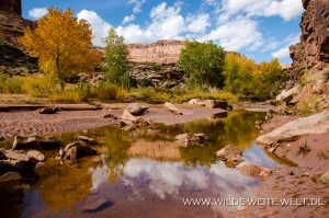 Reflections-Spring-Canyon-San-Rafael-Swell-Utah-300x199 Reflections
