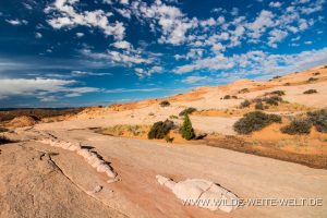 Slickrock-around-the-Volcano-Hole-in-the-Rock-Road-Grand-Staircase-Escalante-National-Monument-Utah-15-300x200 Slickrock around the Volcano