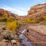 Fall-Color-and-Mexican-Mountain-Mexican-Mountain-Road-San-Rafael-Swell-Utah Delicate Arch II [Spring Canyon]