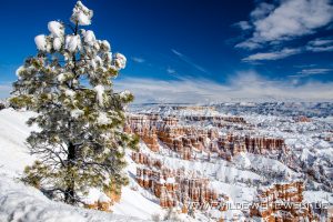 Sunset-Point-Bryce-Canyon-Nationalpark-Utah-3-300x200 Sunset Point