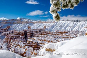 Sunset-Point-Bryce-Canyon-Nationalpark-Utah-300x200 Sunset Point