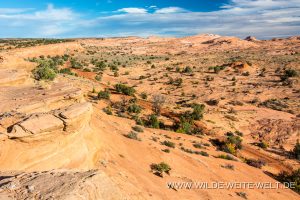 View-to-Volcano-Hole-in-the-Rock-Road-Grand-Staircase-Escalante-National-Monument-Utah-300x200 View to Volcano