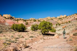 Wanderung-zum-Lamanite-Arch-Egg-Canyon-Grand-Staircase-Escalante-National-Monument-Utah-2-300x199 Wanderung zum Lamanite Arch