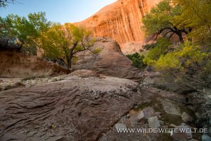 Willow-Gulch-Hole-in-the-Rock-Road-Grand-Staircase-Escalante-National-Monument-Utah-4-300x200 Willow Gulch