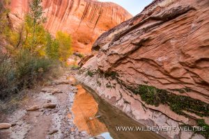 Willow-Gulch-Hole-in-the-Rock-Road-Grand-Staircase-Escalante-National-Monument-Utah-7-300x200 Willow Gulch