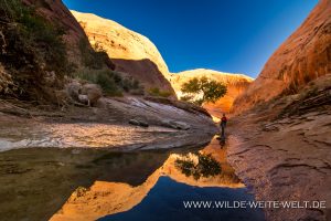 Willow-Gulch-Reflections-Hole-in-the-Rock-Road-Grand-Staircase-Escalante-National-Monument-Utah-4-300x200 Willow Gulch Reflections