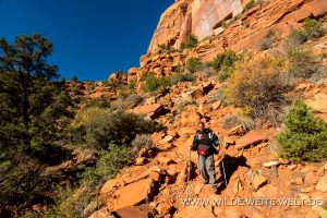 Abstieg-in-den-Left-Fork-North-Creek-Canyon-Zion-Nationalpark-Utah-300x200 Abstieg in den Left Fork North Creek Canyon