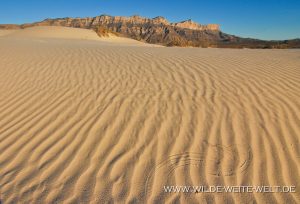 Gypsum-Dunes-Guadelupe-Mountains-Nationalpark-Texas-55-1-300x204 Gypsum Dunes