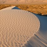Gypsum-Dunes-Guadelupe-Mountains-Nationalpark-Texas-15 Guadalupe Mountains: Gypsum Sand Dunes