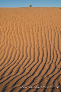 Gypsum-Dunes-Guadelupe-Mountains-Nationalpark-Texas-67-199x300 Gypsum Dunes