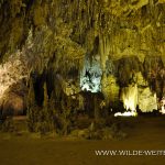 Big-Room-Big-Room-Tour-Carlsbad-Caverns-Nationalpark-New-Mexico-6 Carlsbad Caverns