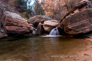 Left-Fork-North-Creek-Cascades-Zion-Nationalpark-Utah-5-300x200 Left Fork North Creek Cascades