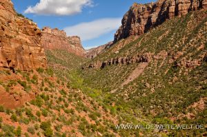 Left-Fork-North-Creek-Zion-Nationalpark-Utah-12-1-300x199 Left Fork North Creek