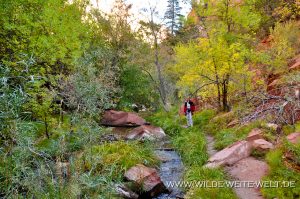 Left-Fork-North-Creek-Zion-Nationalpark-Utah-16-300x199 Left Fork North Creek,