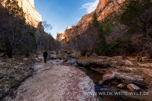 Left-Fork-North-Creek-Zion-Nationalpark-Utah-2-300x200 Left Fork North Creek