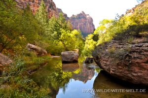 Left-Fork-North-Creek-Zion-Nationalpark-Utah-3-1-300x199 Left Fork North Creek
