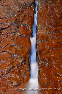 The-Crack-Left-Fork-North-Creek-Zion-Nationalpark-Utah-3-199x300 The Crack