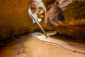 The-North-Pole-Zion-Nationalpark-Utah-300x200 The North Pole