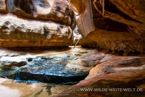 The-North-Pole-Zion-Nationalpark-Utah-7-300x200 The North Pole