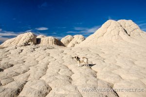 White-Pocket-Vermilion-Cliffs-National-Monument-Arizona-102-300x199 White Pocket