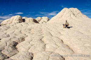 White-Pocket-Vermilion-Cliffs-National-Monument-Arizona-103-300x199 White Pocket