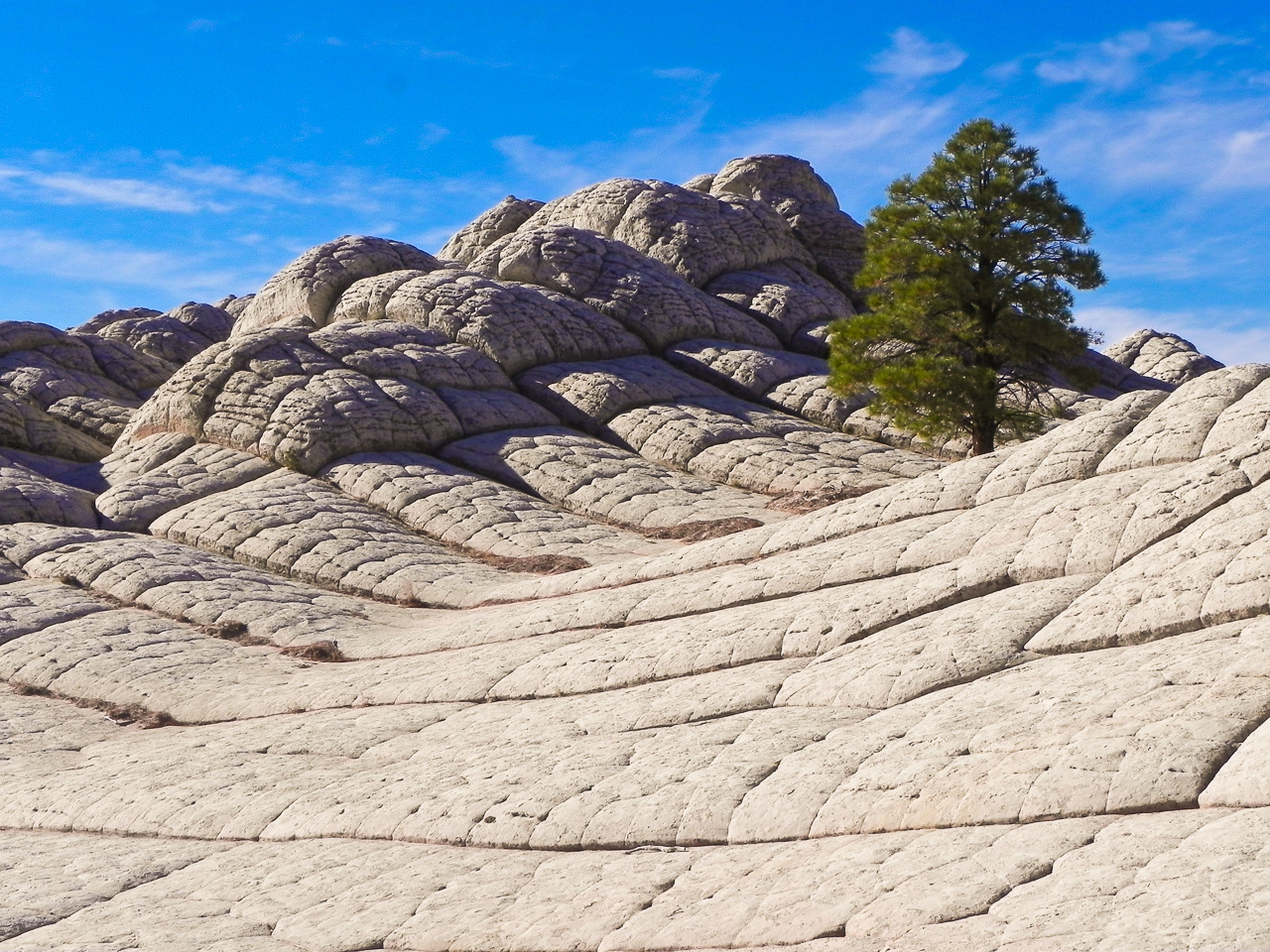 White-Pocket-Vermilion-Cliffs-National-Monument-Arizona-103 White Pocket [Arizona, G.S.E.N.M.]