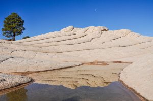 White-Pocket-Vermilion-Cliffs-National-Monument-Arizona-15-2-300x199 White Pocket