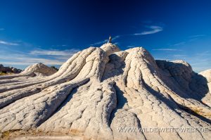 White-Pocket-Vermilion-Cliffs-National-Monument-Arizona-156-300x199 White Pocket