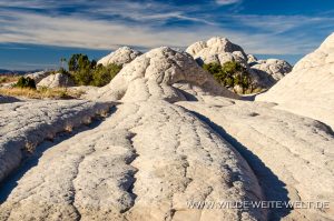 White-Pocket-Vermilion-Cliffs-National-Monument-Arizona-162-300x199 White Pocket