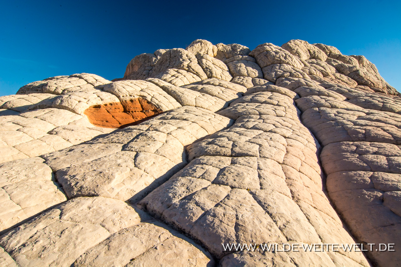 White-Pocket-Vermilion-Cliffs-National-Monument-Arizona-103 White Pocket [Arizona, G.S.E.N.M.]