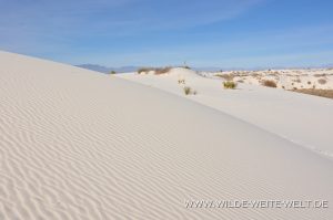 White-Sands-National-Monument-Alamogordo-New-Mexico-14-300x199 White Sands National Monument