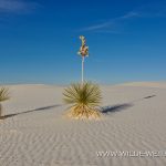 Gypsum-Dunes-Road-White-Sands-National-Monument-New-Mexico-300x199 White Sands National Monument