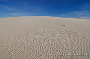 White-Sands-National-Monument-Alamogordo-New-Mexico-41-300x199 White Sands National Monument