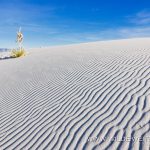 White Sands National Monument - Alamogordo, New Mexico