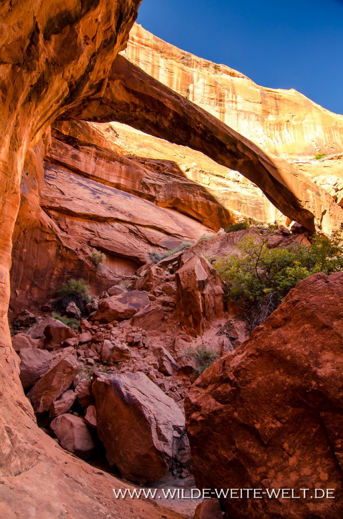 Zane-Grey-Arch-Explorer-Canyon-Glen-Canyon-National-Recreation-Area-Page-Utah-3 Zane Grey Arch [Explorer Canyon]