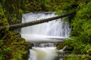 Dutchmen-Falls-Columbia-River-Gorge-Oregon-2-300x200 Dutchmen Falls