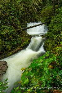 Dutchmen-Falls-Columbia-River-Gorge-Oregon-4-200x300 Dutchmen Falls