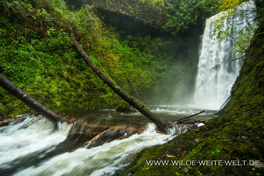 Ecola-Falls-Columbia-River-Gorge-Oregon-2 Ecola Falls [Columbia River Gorge, Multnomah Creek]