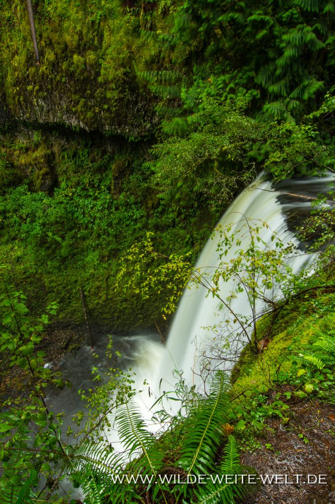 Ecola-Falls-Columbia-River-Gorge-Oregon-2 Ecola Falls [Columbia River Gorge, Multnomah Creek]