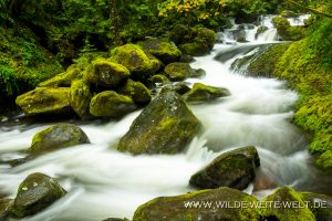 Multnomah-Creek-Columbia-River-Gorge-Oregon-3-300x200 Multnomah Creek