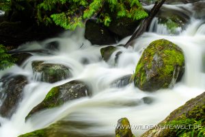 Multnomah-Creek-Columbia-River-Gorge-Oregon-5-300x200 Multnomah Creek