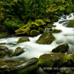 Multnomah-Falls-Columbia-River-Gorge-Oregon-4 Multnomah Falls [Columbia River Gorge, Multnomah Creek]