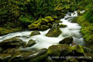 Multnomah-Creek-Columbia-River-Gorge-Oregon-9-300x200 Multnomah Creek