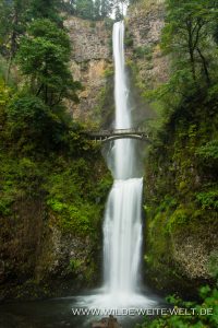 Multnomah-Falls-Columbia-River-Gorge-Oregon-5-200x300 Multnomah Falls